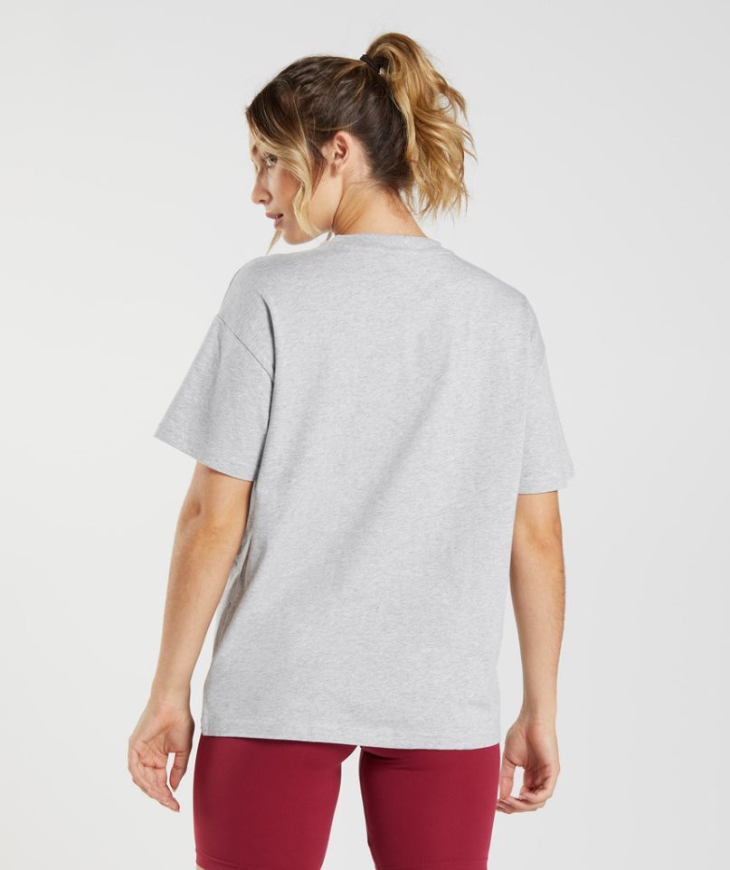 Women's Gymshark Training Oversized T-Shirts Light Grey | NZ 0XPKGT